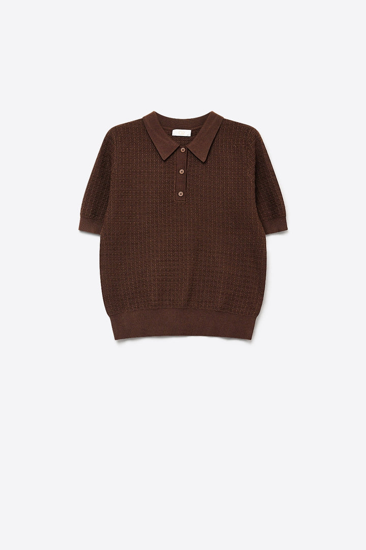 Textured Knit Polo Sweater with Short Sleeves in Brown