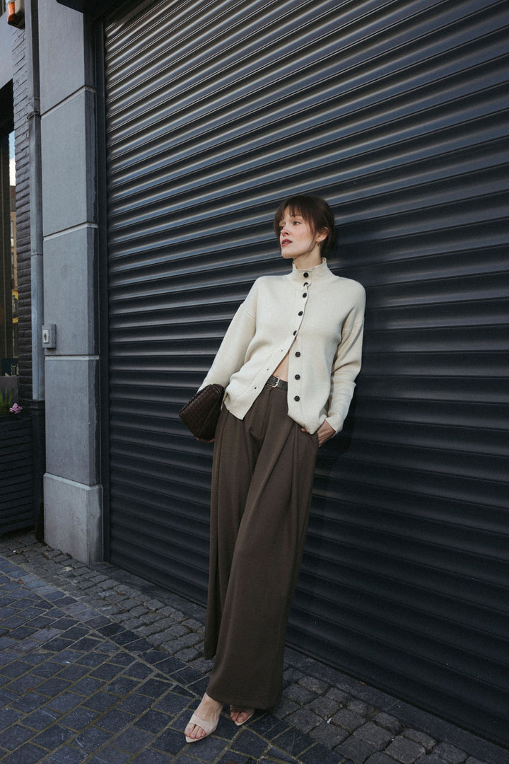 Pleated Trousers with Belt – Brown