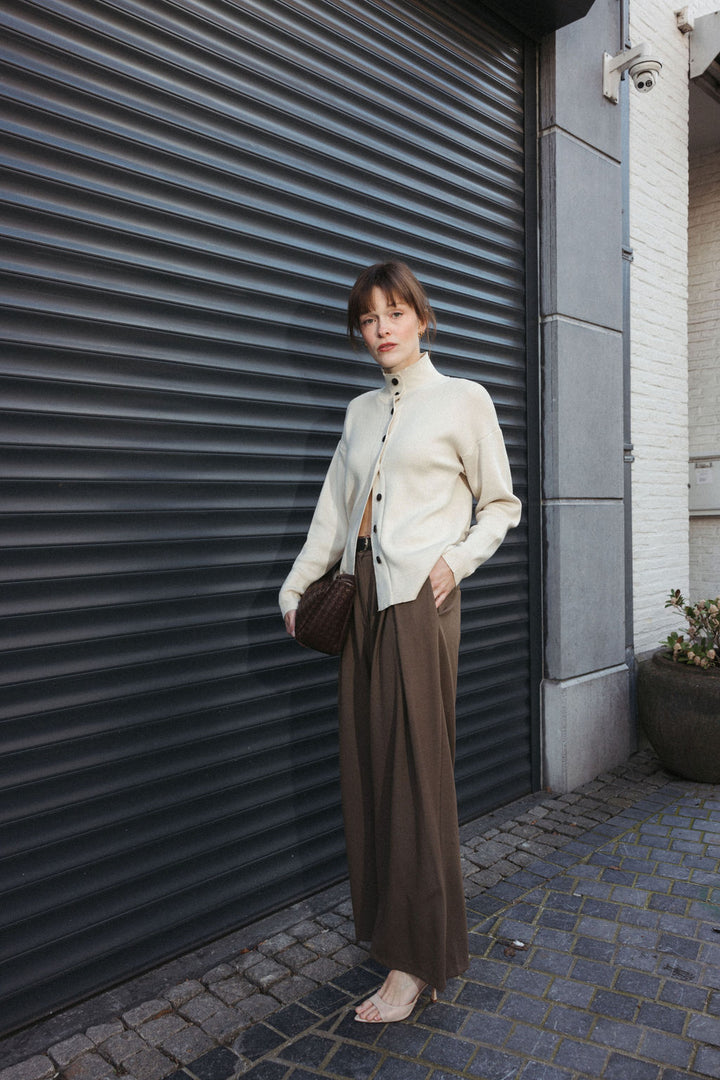 Pleated Trousers with Belt – Brown