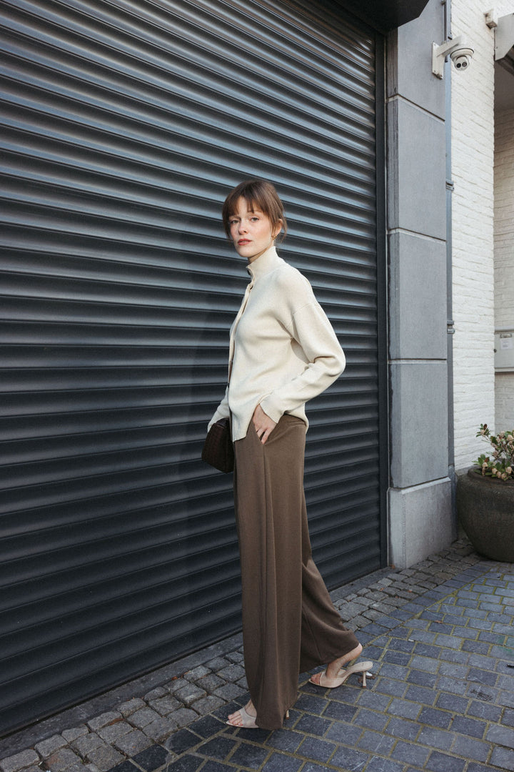Pleated Trousers with Belt – Brown